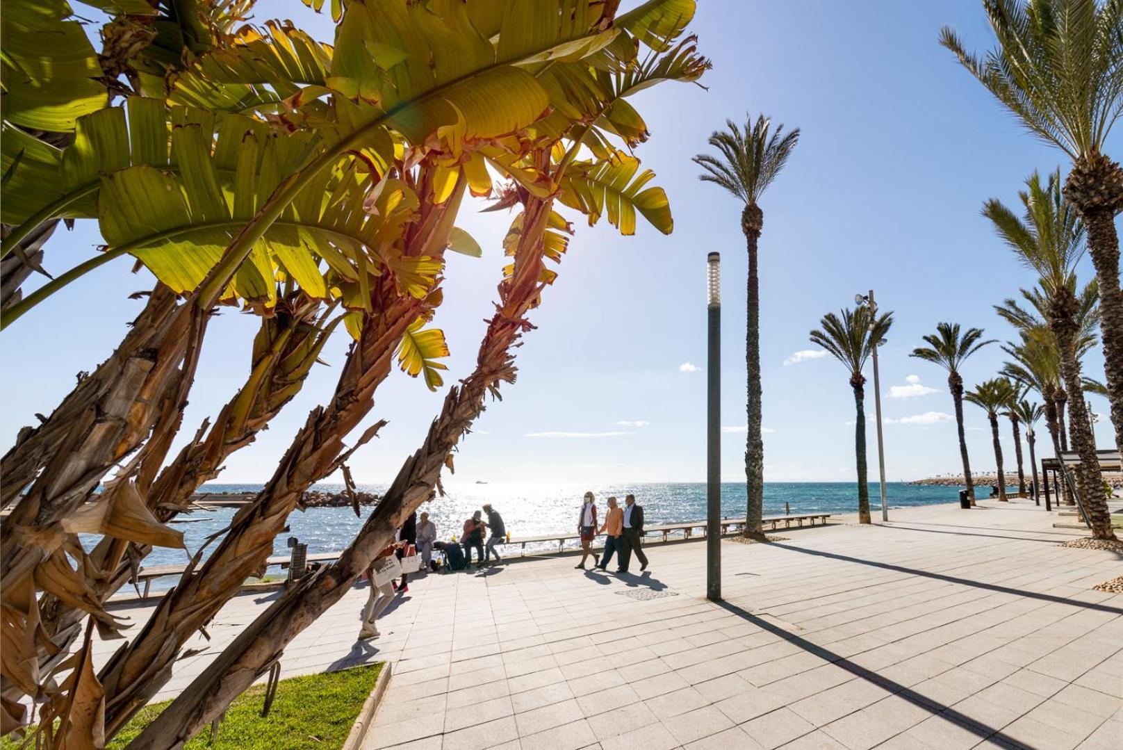 Concordia Beachside Apartment: Near Del Cura & Station Torrevieja