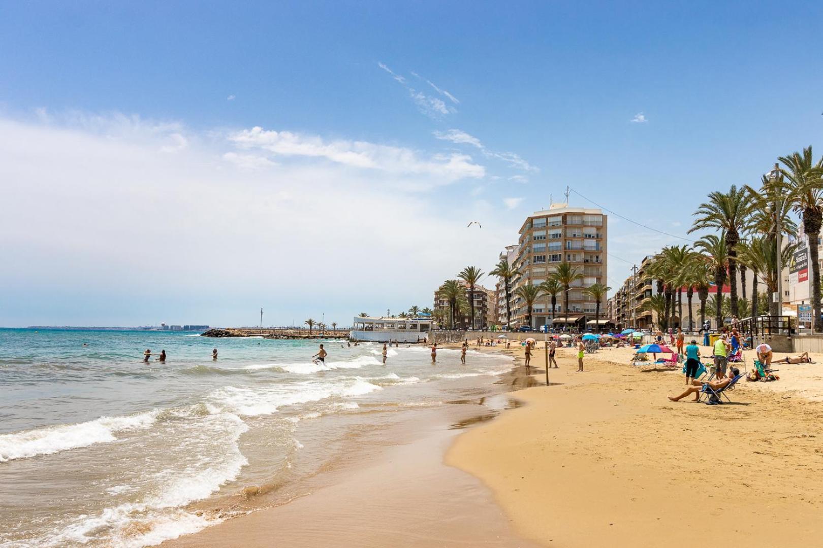 Apartment Concordia Beachside Apartment: Near Del Cura & Station Torrevieja