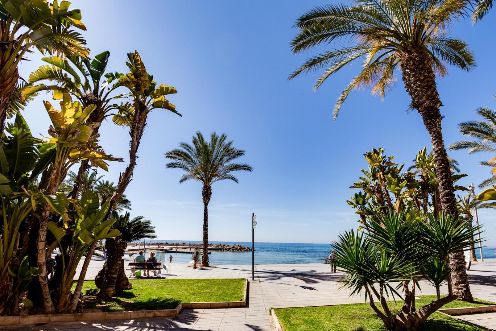 Calle Concordia 86, Two Bedroom Apartment, Up To 6 Guests, Near Del Cura Beach,supermarket Mercadona And Bus Station * Torrevieja